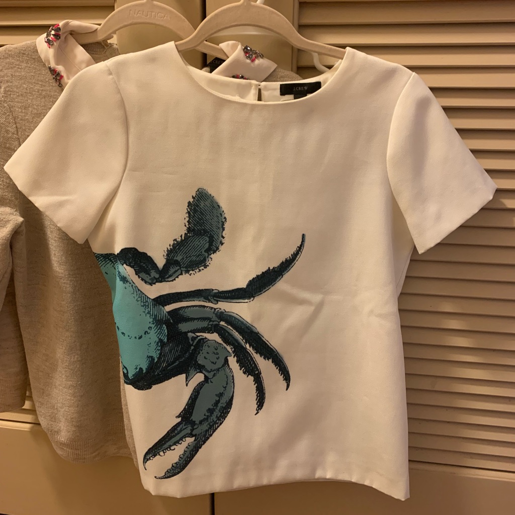 Jcrew Structured Top